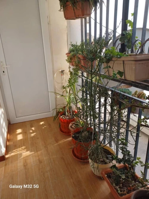 Vente Appartement F3 Alger Kouba