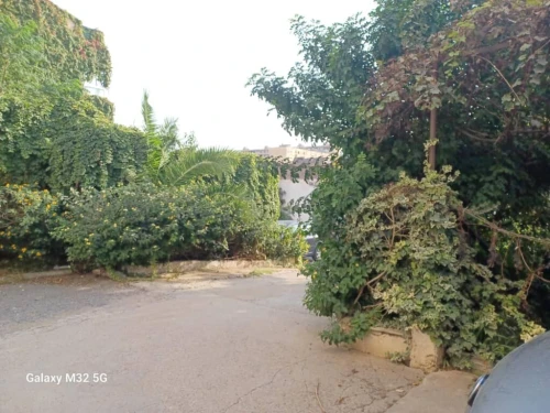 Vente Appartement F3 Alger Kouba