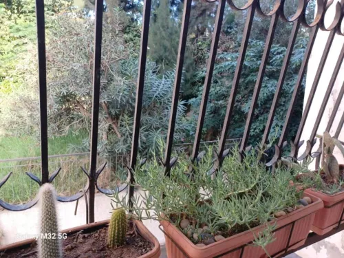 Vente Appartement F3 Alger Kouba