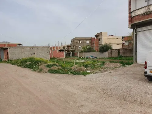 Vente Terrain Mila Ain beida harriche