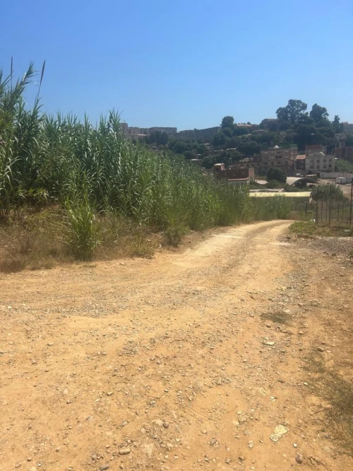 Vente Alger Birkhadem