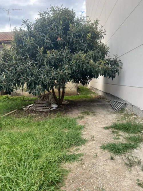 Vente Terrain Béjaïa Bejaia