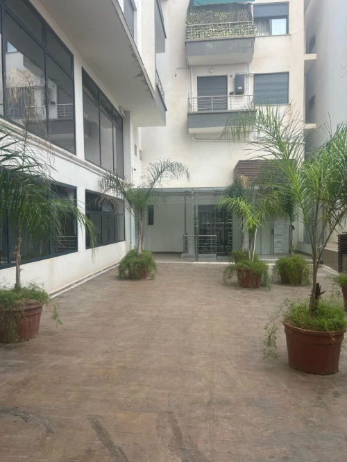Location Local Alger Kouba