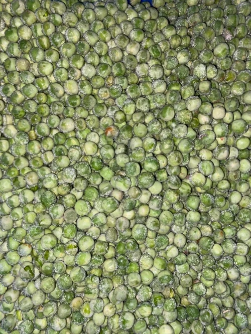 Green peas jelbana جلبانة