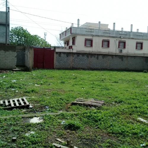 Vente Terrain Alger Tessala el merdja