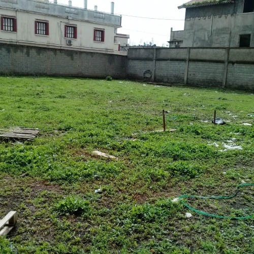 Vente Terrain Alger Tessala el merdja