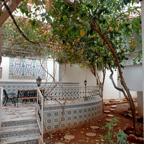 Vente Villa Alger Hussein dey