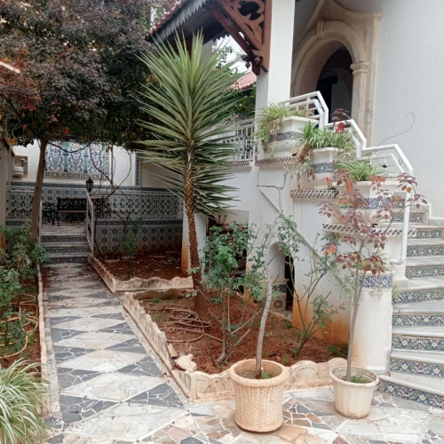 Vente Villa Alger Hussein dey