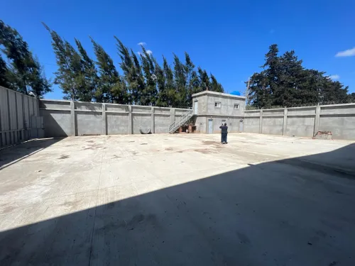 Location Hangar - Usine Blida Chebli