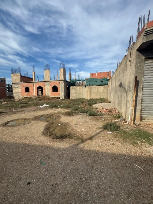 Vente Terrain Blida Ben khellil