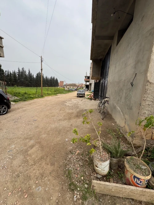 Vente Terrain Alger Ouled chebel