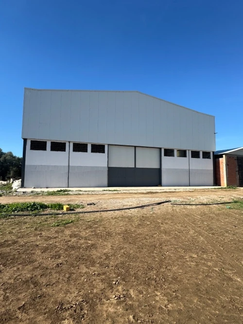 Location Hangar - Usine Alger Ouled chebel