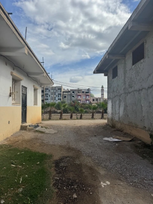 Vente Terrain Alger Ouled chebel
