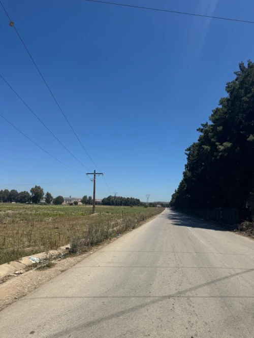 Vente Blida Ben khellil