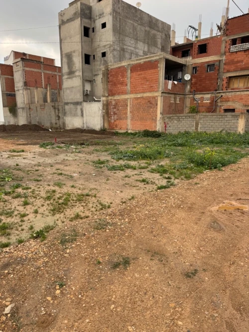 Vente Terrain Alger Ouled chebel