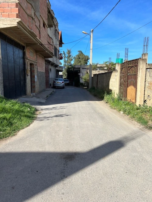 Vente Terrain Blida Boufarik