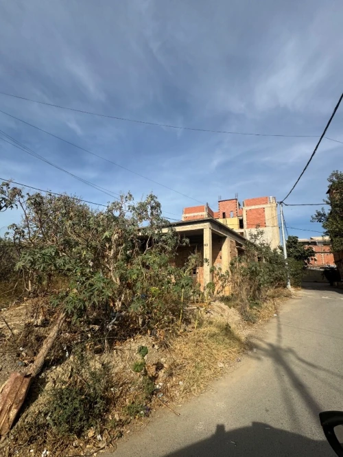 Vente Terrain Alger Birtouta