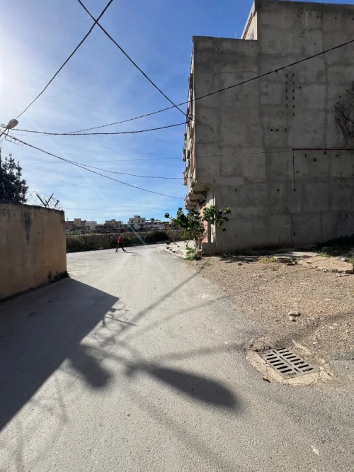 Vente Terrain Blida Boufarik