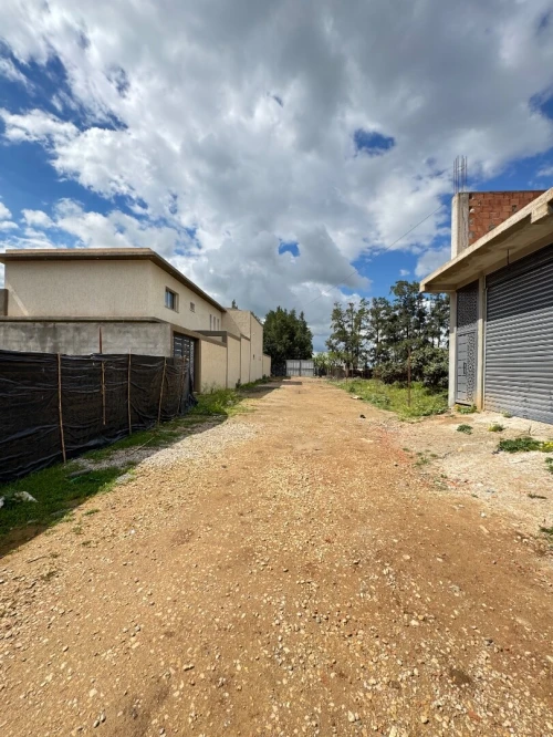Vente Terrain Alger Ouled chebel