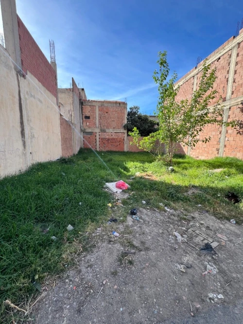 Vente Terrain Blida Boufarik