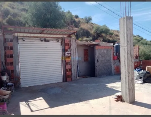 Vente Villa Blida Ain romana