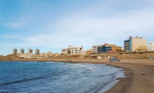 Vente Terrain Alger Staoueli