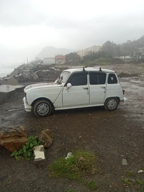 Renault 4 1983 4