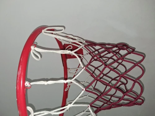 Panier de basketball 