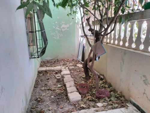 Vente Appartement F6 Oum El Bouaghi Meskiana