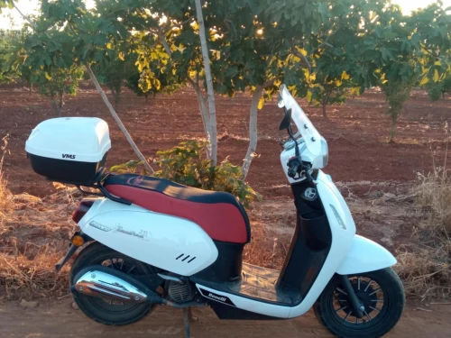 Vms Panarea 2023