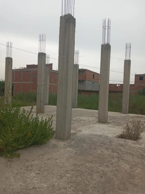 Vente Terrain Blida Boufarik