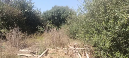 Vente Terrain Boumerdès Ouled hedadj