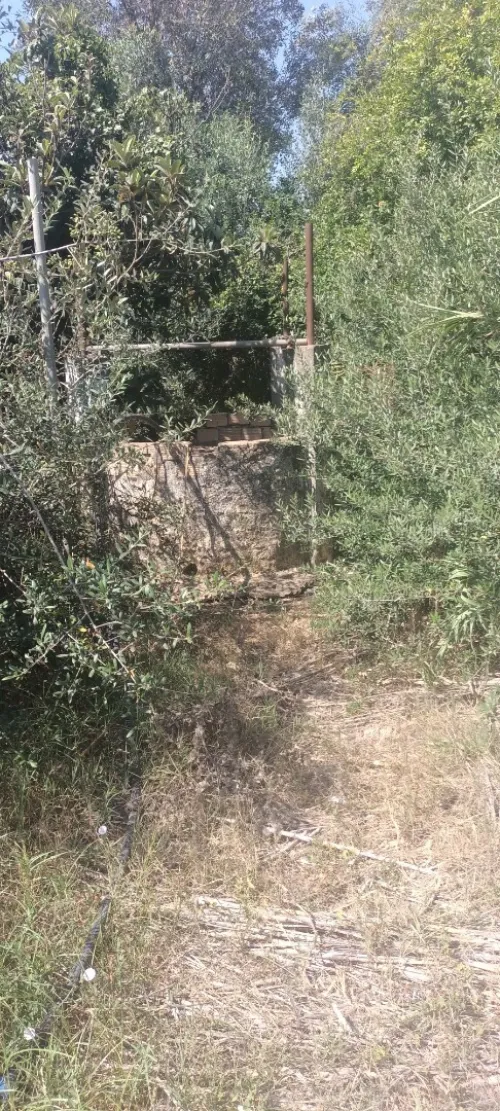 Vente Terrain Boumerdès Ouled hedadj