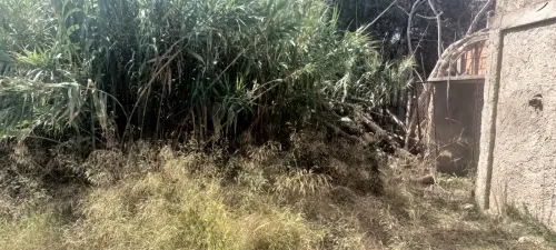 Vente Terrain Boumerdès Ouled hedadj