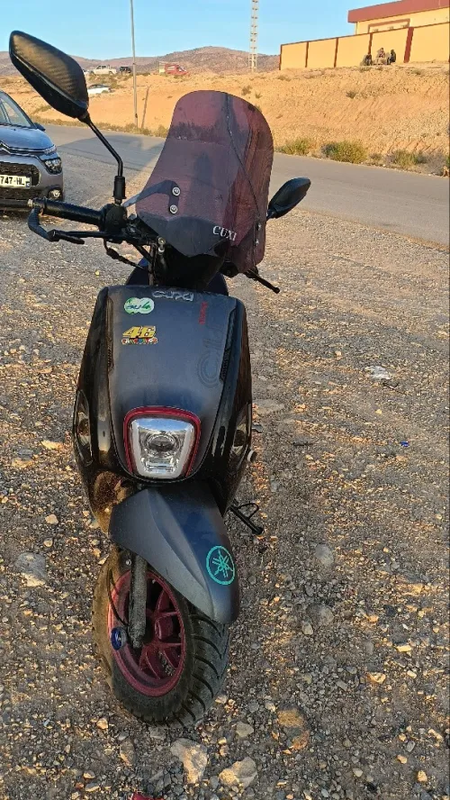 Vms Cuxi 2 2024