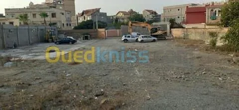 Vente Terrain Blida Larbaa