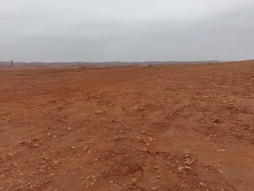 Vente Terrain Agricole Djelfa Djelfa
