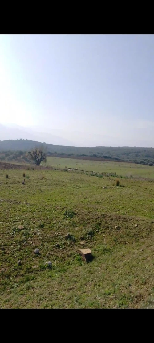 Vente Terrain Béjaïa Oued ghir