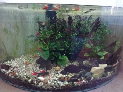 Aquarium