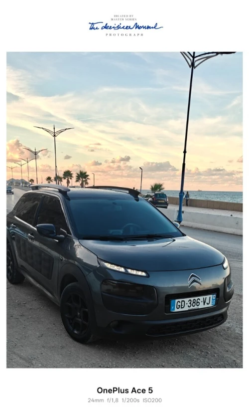 Citroen C4 Cactus 2015 C4 Cactus