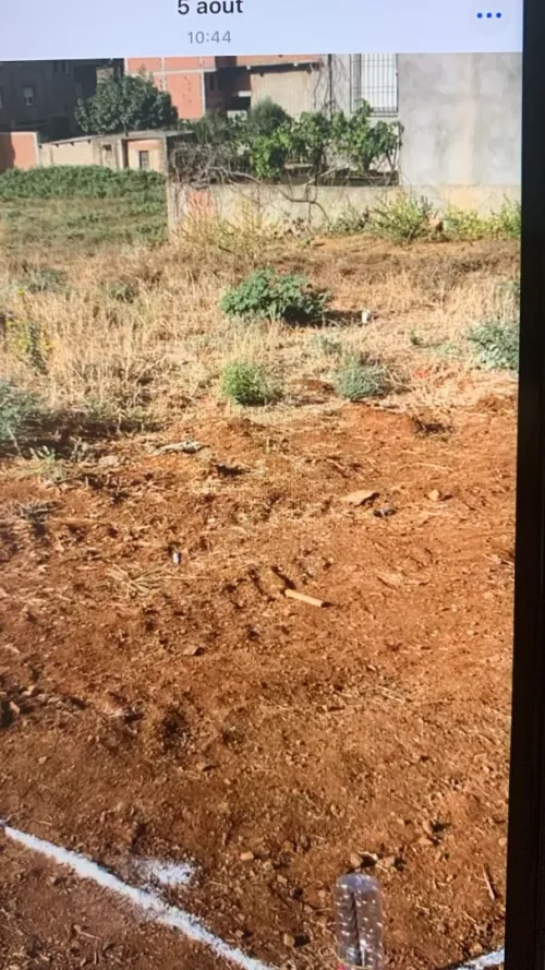 Vente Terrain Boumerdès Ouled moussa