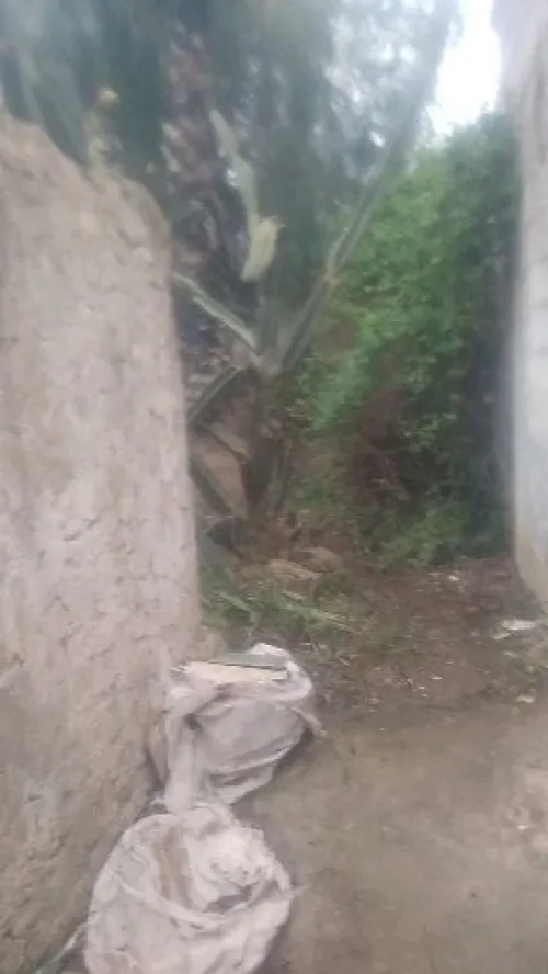 Vente Terrain Alger Ain benian