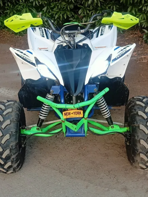 Vms Pintora 2022