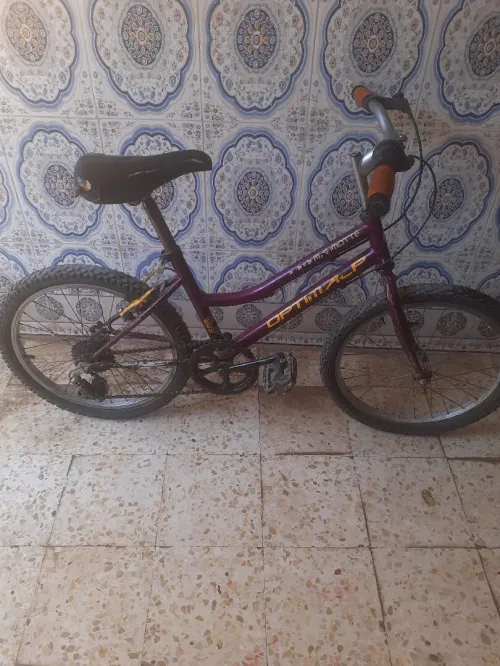 Velo 20 pouce français
