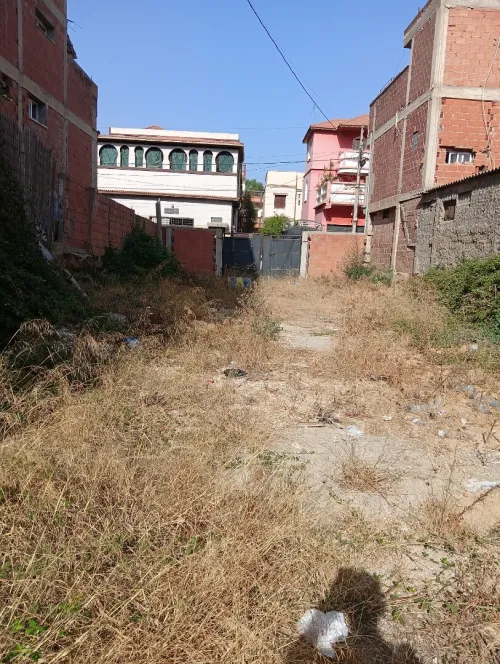 Vente Terrain Tipaza Hadjout