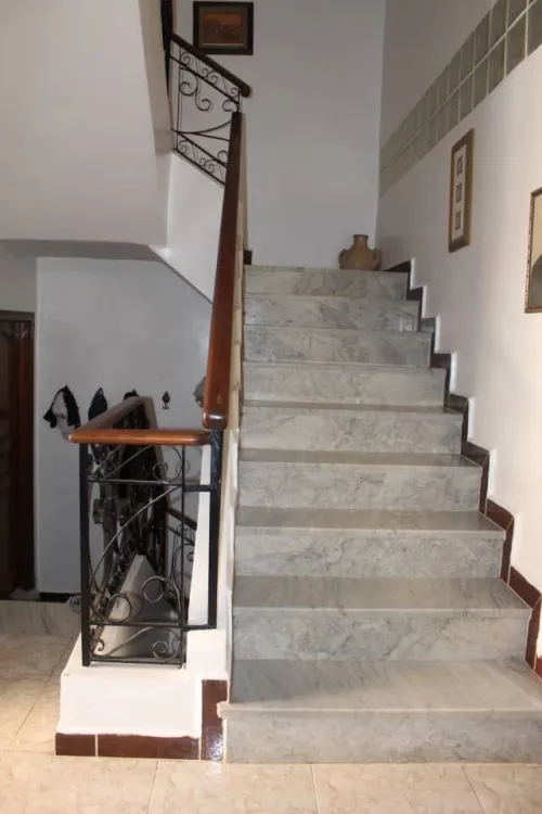 Vente Villa Alger Dely brahim