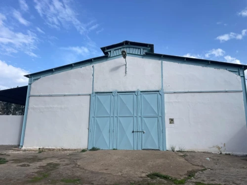 Vente Hangar - Usine Blida Ben khellil