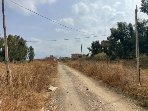 Vente Terrain Alger Tessala el merdja