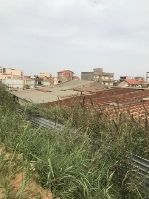 Vente Terrain Alger Bab ezzouar
