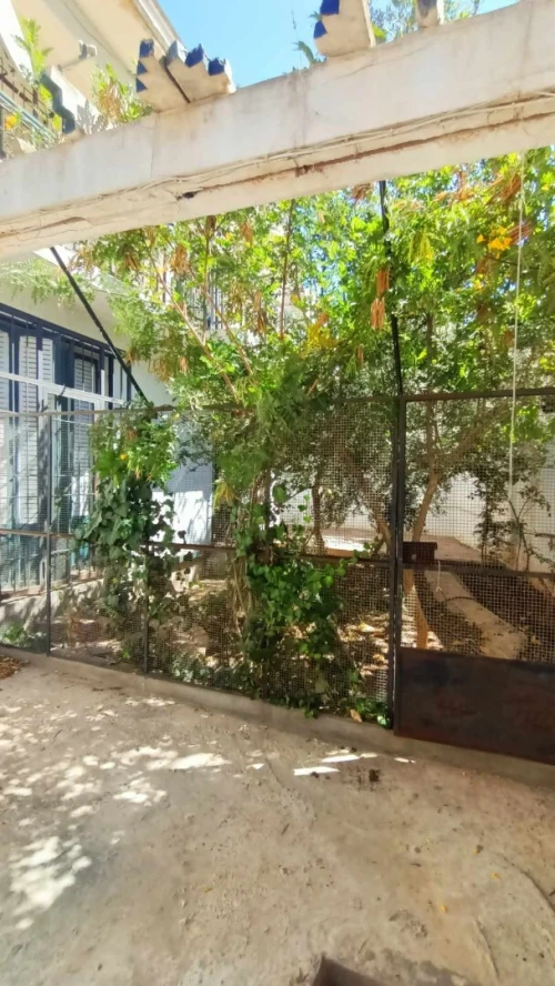 Location Appartement Niveau de villa F4 Oran Oran